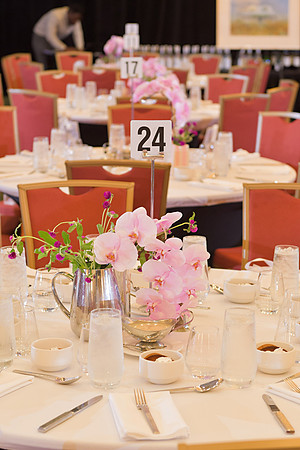 RKPhoto-2025-RonladMcDonald-BagLadyLuncheon-043