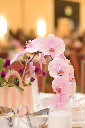 RKPhoto-2025-RonladMcDonald-BagLadyLuncheon-053