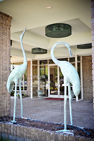 RKPhoto_CVB_May_0018