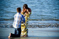 Derek Bus Surprise Proposal