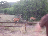 Ava-Colorado-Springs-Trip010