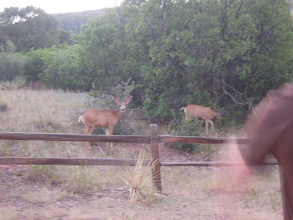 Ava-Colorado-Springs-Trip010