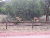 Ava-Colorado-Springs-Trip011