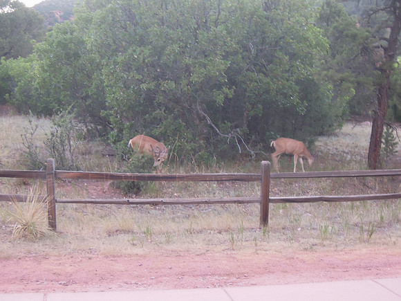 Ava-Colorado-Springs-Trip011