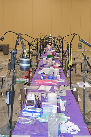 RKPhoto-2026-PalmettoPalace-DentalDay-024