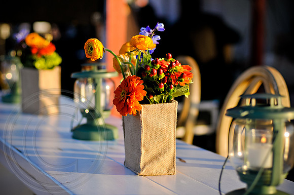 RKPhoto_VanDyck_036