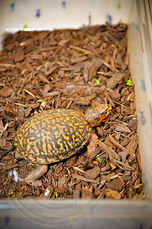 RKPhoto_HootieRoundup_063