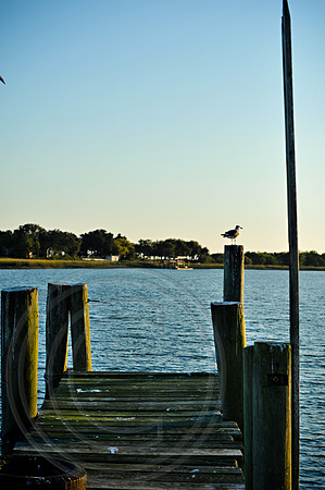 RKPhoto_VanDyck_044