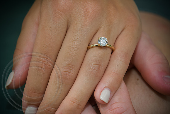 RKPhoto-BrysonSurpriseProposal-183