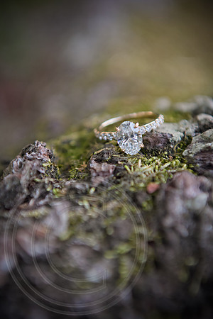 RKPhoto-PrestonLeslie-Proposal-162