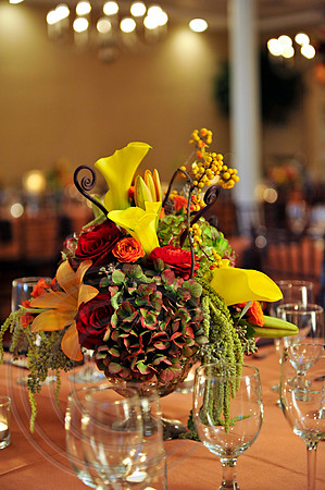 RKPhoto_BetsyDon_008