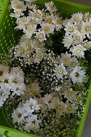 RKPhoto-Ben-Cassidy-LucasWedding-0034
