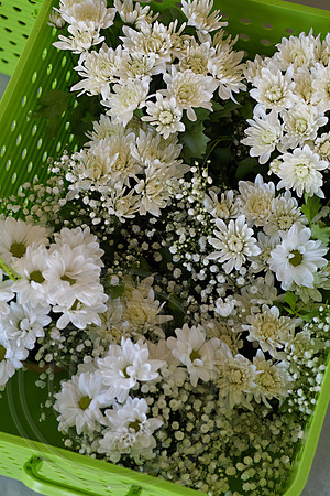RKPhoto-Ben-Cassidy-LucasWedding-0036