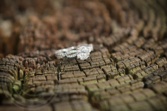 RKPhoto-HunterProposal-133