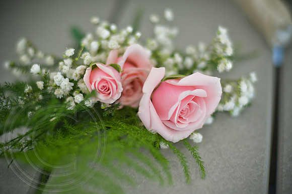RKPhoto_Thorne_052
