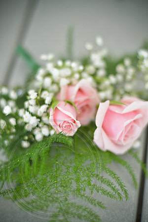 RKPhoto_Thorne_053