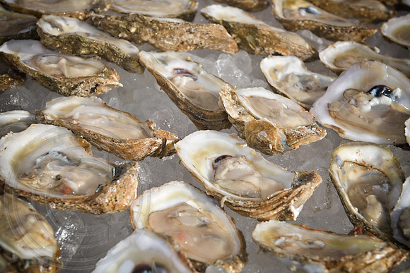 RKPhoto-LowCountry-OysterFestival-2024-049