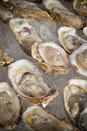RKPhoto-LowCountry-OysterFestival-2024-050
