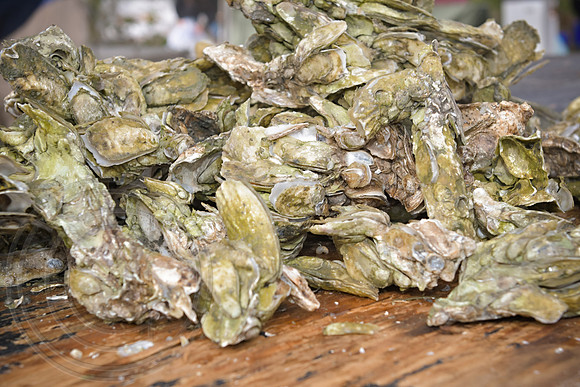 RKPhoto-LowCountry-OysterFestival-2024-118