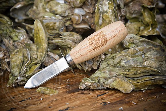 RKPhoto-LowCountry-OysterFestival-2024-119