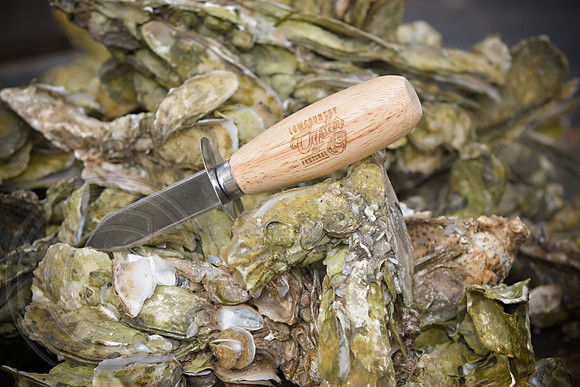 RKPhoto-LowCountry-OysterFestival-2024-120