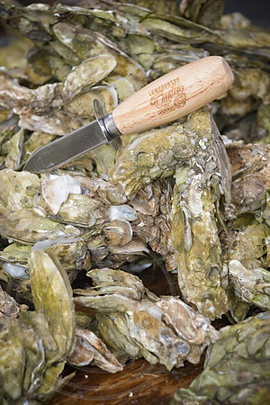 RKPhoto-LowCountry-OysterFestival-2024-121