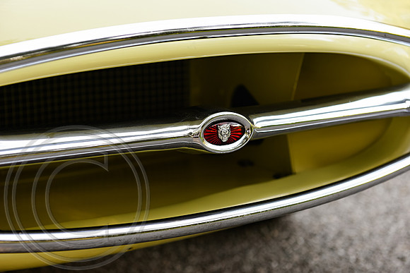 RKPhoto-1969JagXKE-Roadster-029