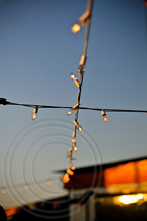 RKPhoto_VanDyck_053