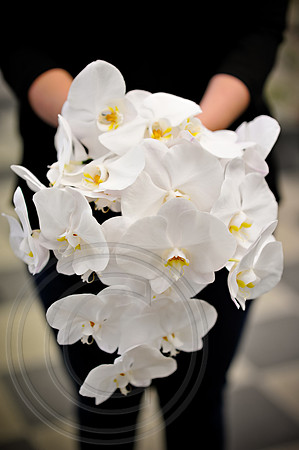 RKPhoto_Elaine_009