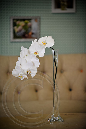 RKPhoto_Elaine_005