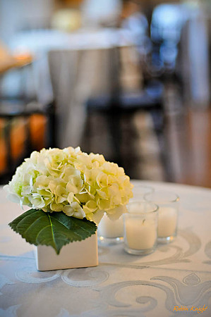 RKPhoto_web_0020