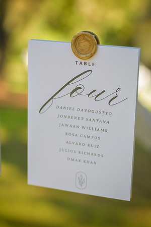 RKPhoto-DavaJamesWedding-027