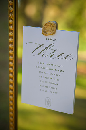 RKPhoto-DavaJamesWedding-026