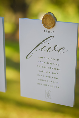 RKPhoto-DavaJamesWedding-028
