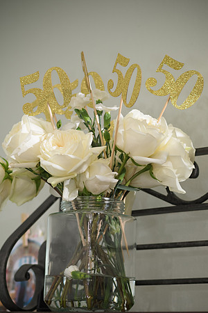 RKPhoto-Schaaf-50thAnniversary-036