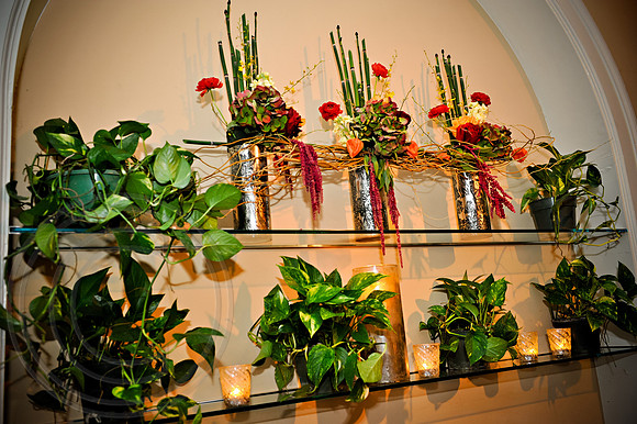 RKPhoto_BetsyDon_057