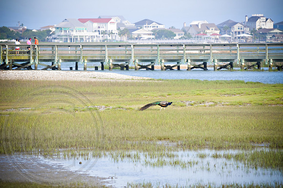 RKPhoto_KateHunter_0045